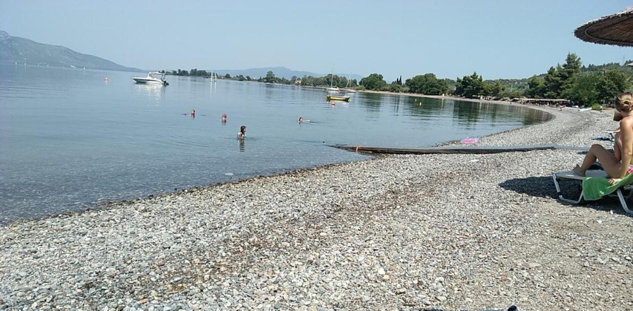 Ferienwohnung Mare E Monti1 Kamena Vourla Exterior foto